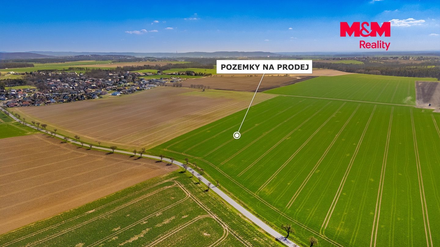 Prodej, Pole, Čistá