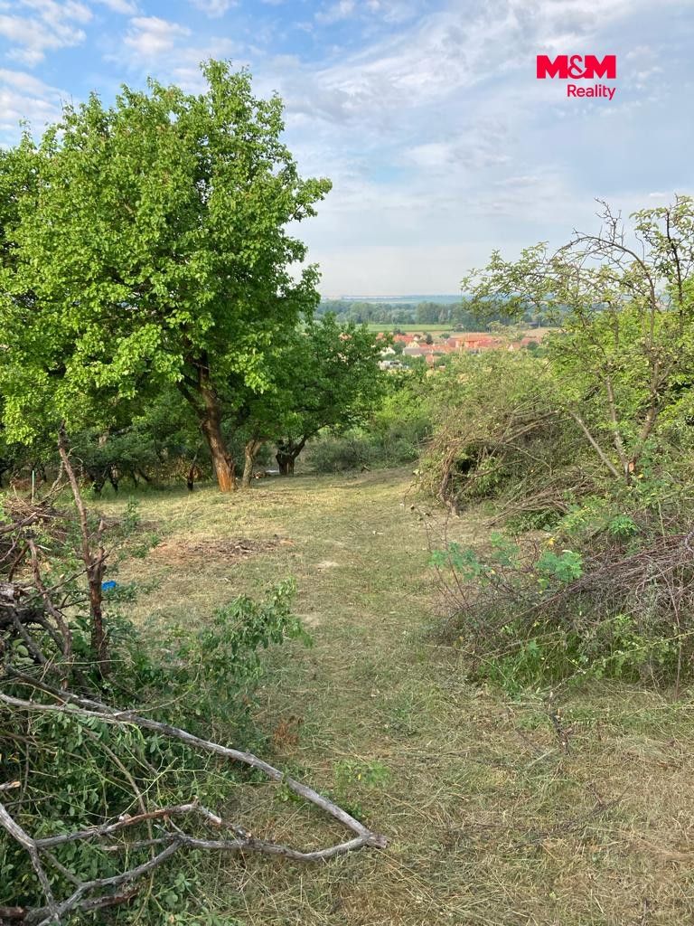 Prodej, Chata, 15 m², Pohořelice, Pohořelice – náhled fotky 8