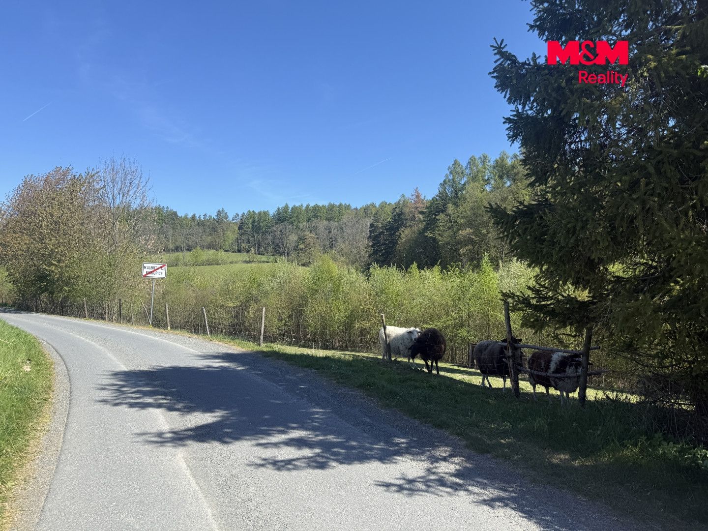 Prodej, Rodinný dům, 220 m², Město Albrechtice, Osoblažská, Město Albrechtice – náhled fotky 31