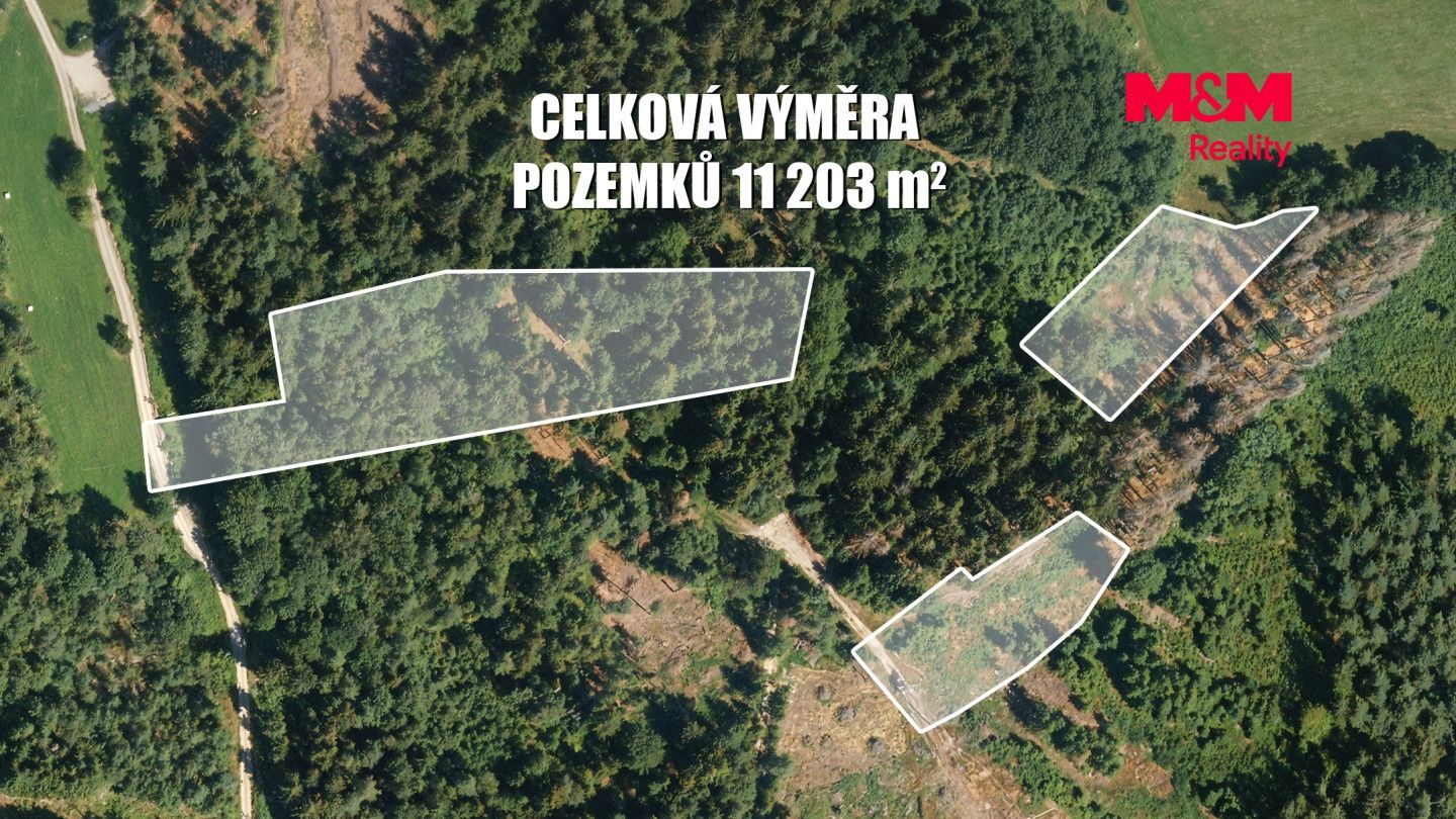 Prodej, Les, Železný Brod