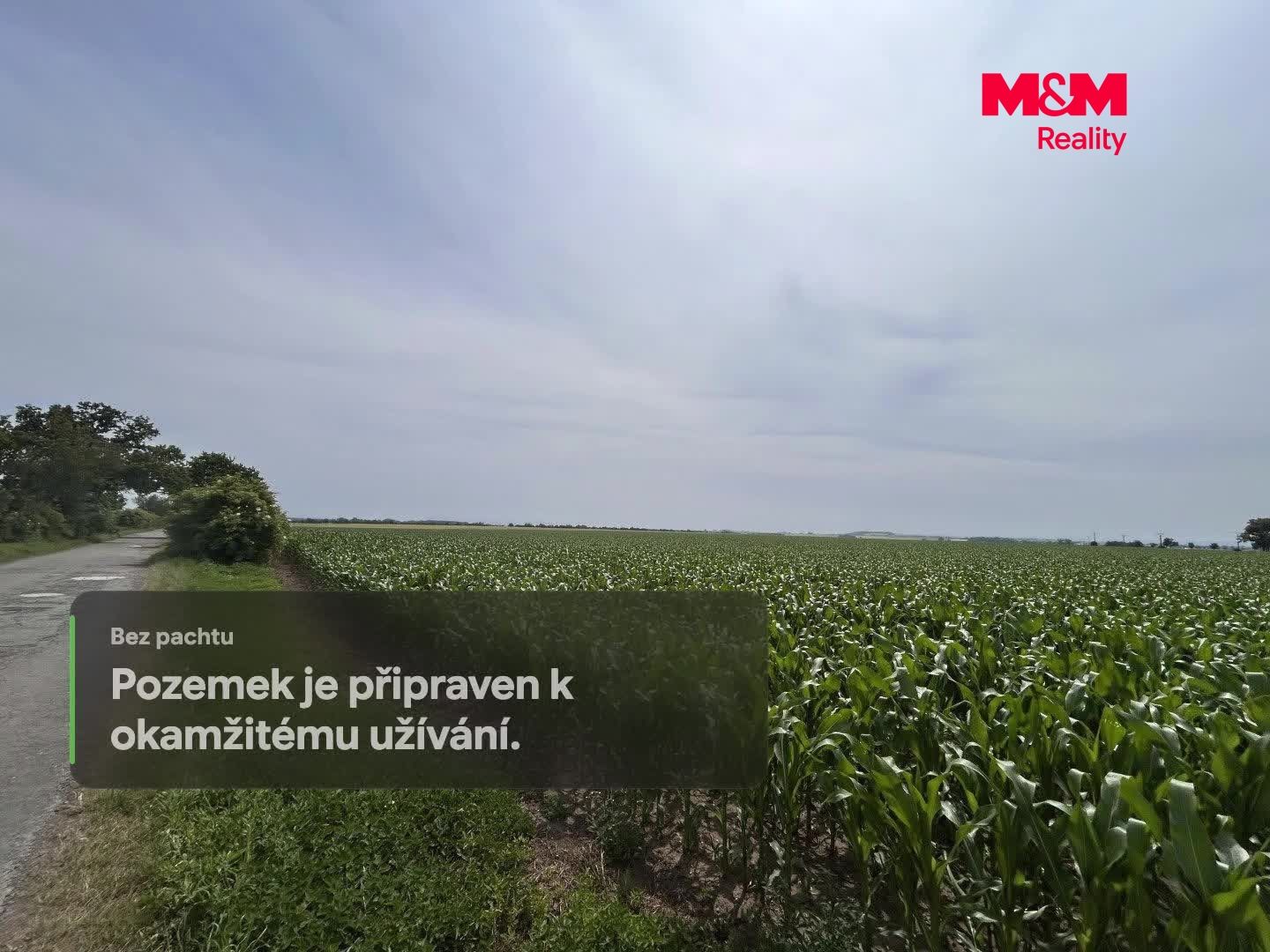 Prodej, Pole, Prostějov