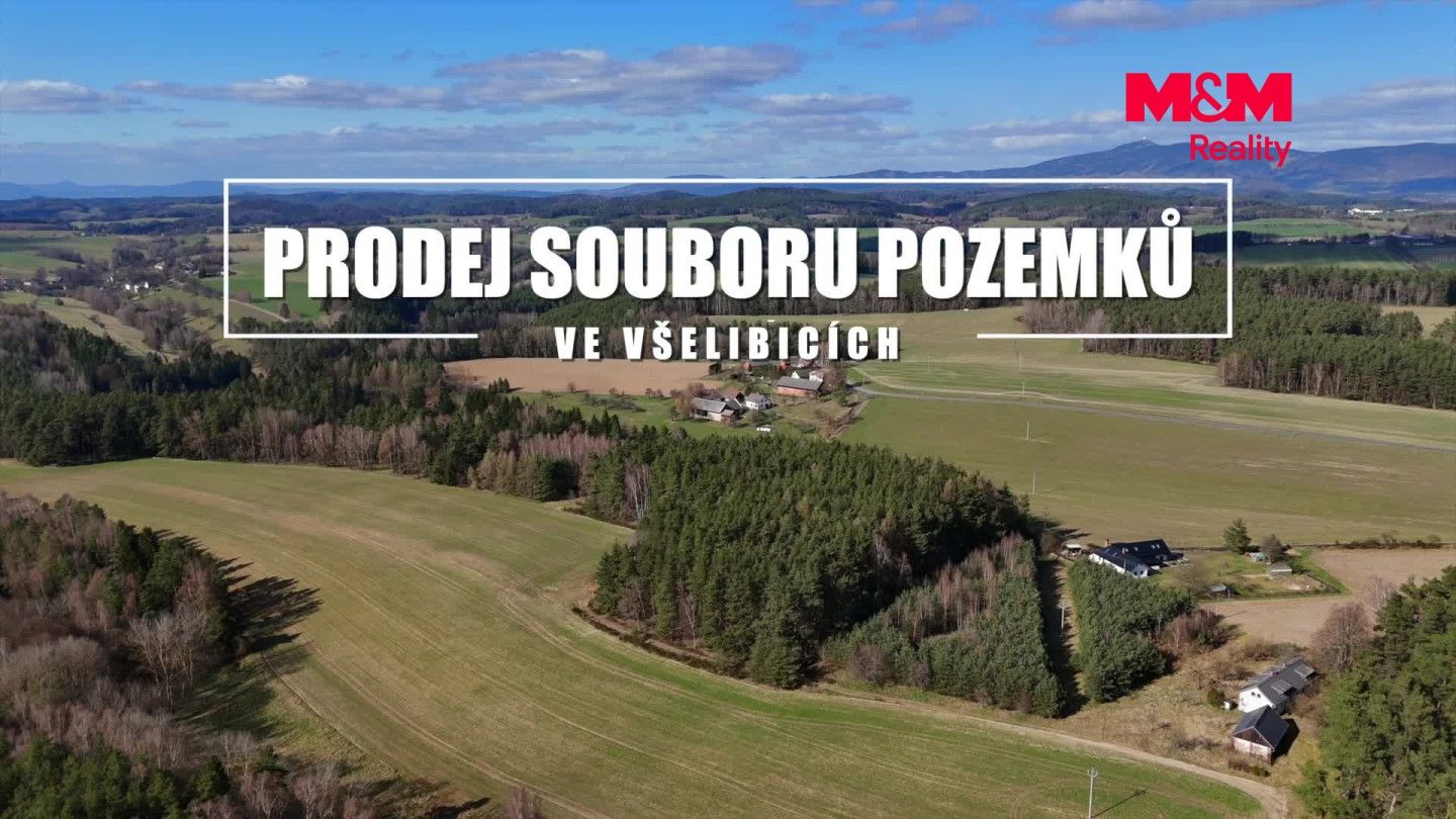 Prodej, Les, Všelibice