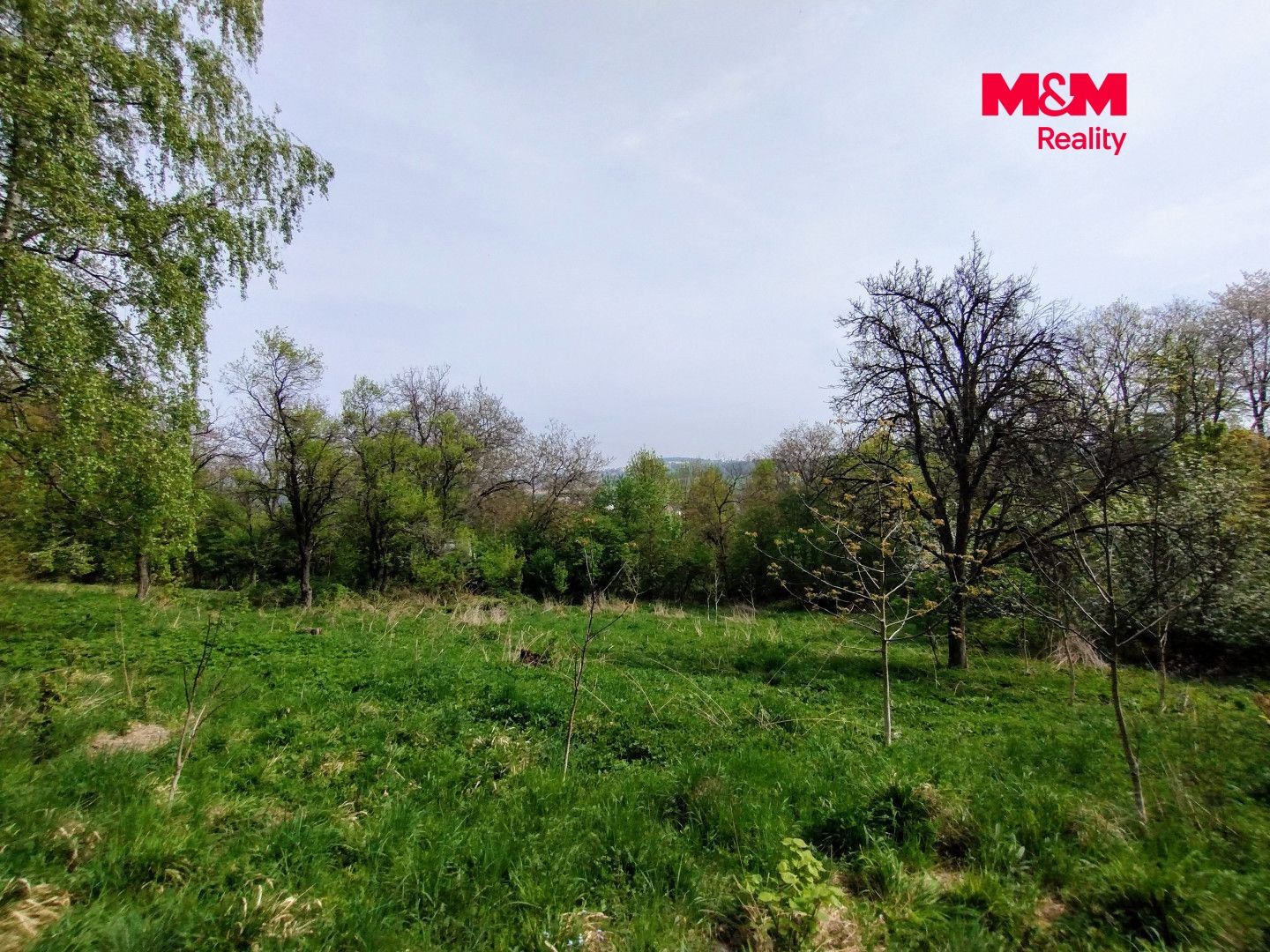 Prodej, Chata, 38 m², Jeseník nad Odrou, Jeseník nad Odrou – náhled fotky 3