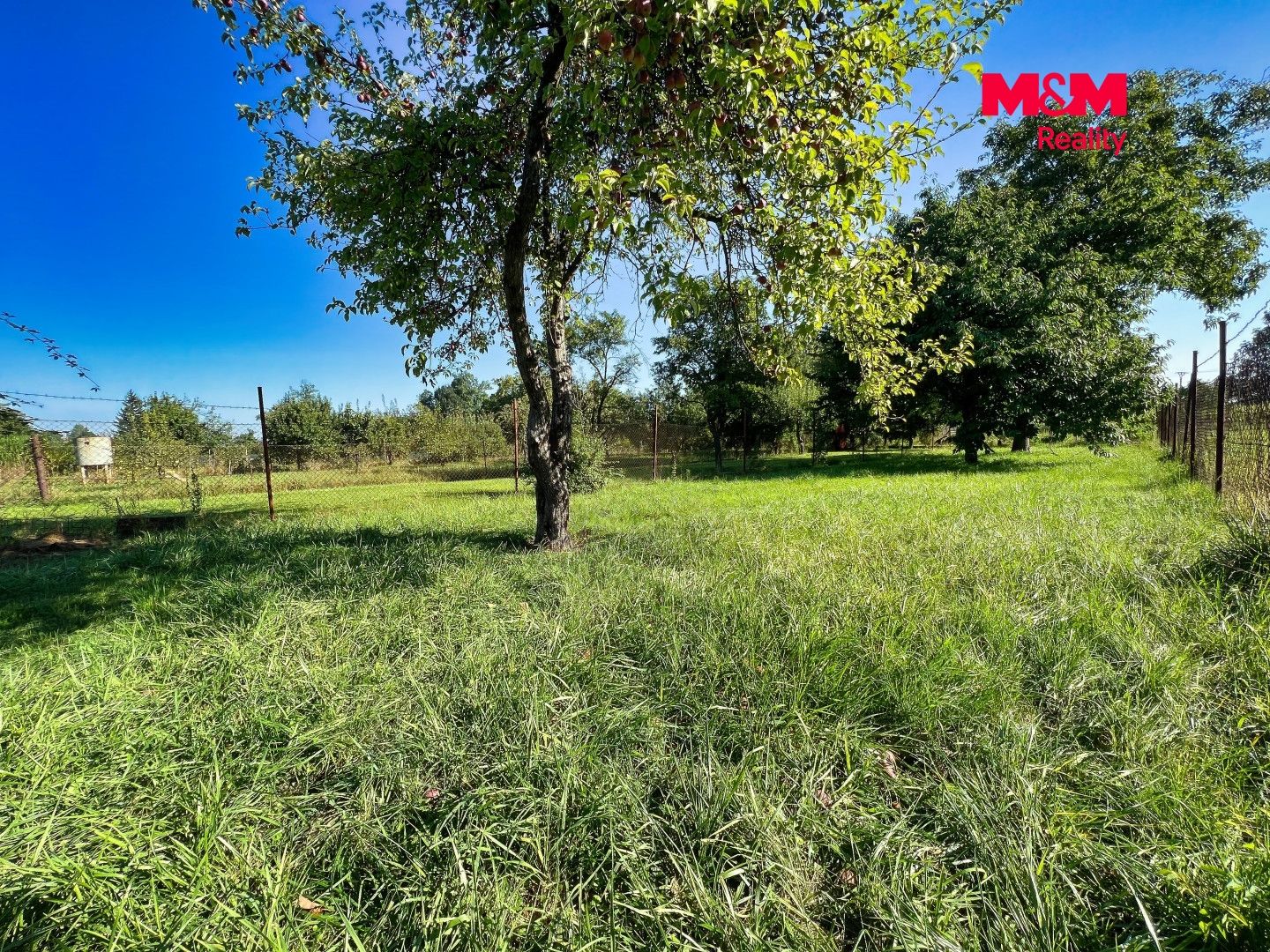 Prodej, Rodinný dům, 250 m², Kojetín, Kojetín – náhled fotky 7