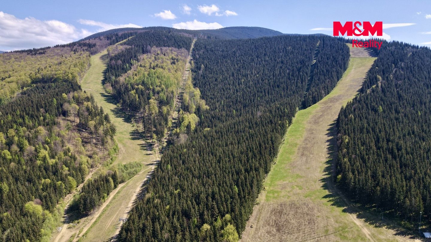 Prodej, Byt 2+kk, 36 m², Loučná nad Desnou, Loučná nad Desnou – náhled fotky 16