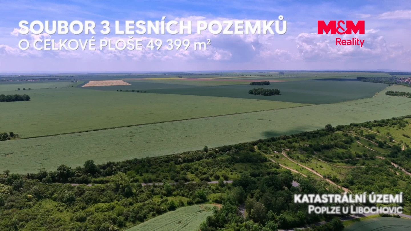 Prodej, Les, Libochovice