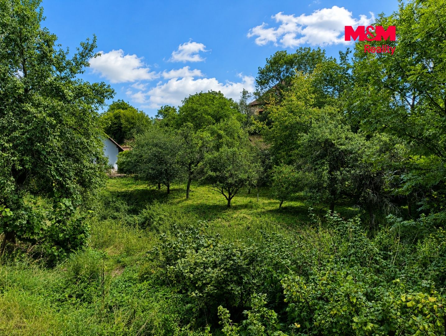 Prodej, Chalupa, 100 m², Voděrady, Voděrady – náhled fotky 5