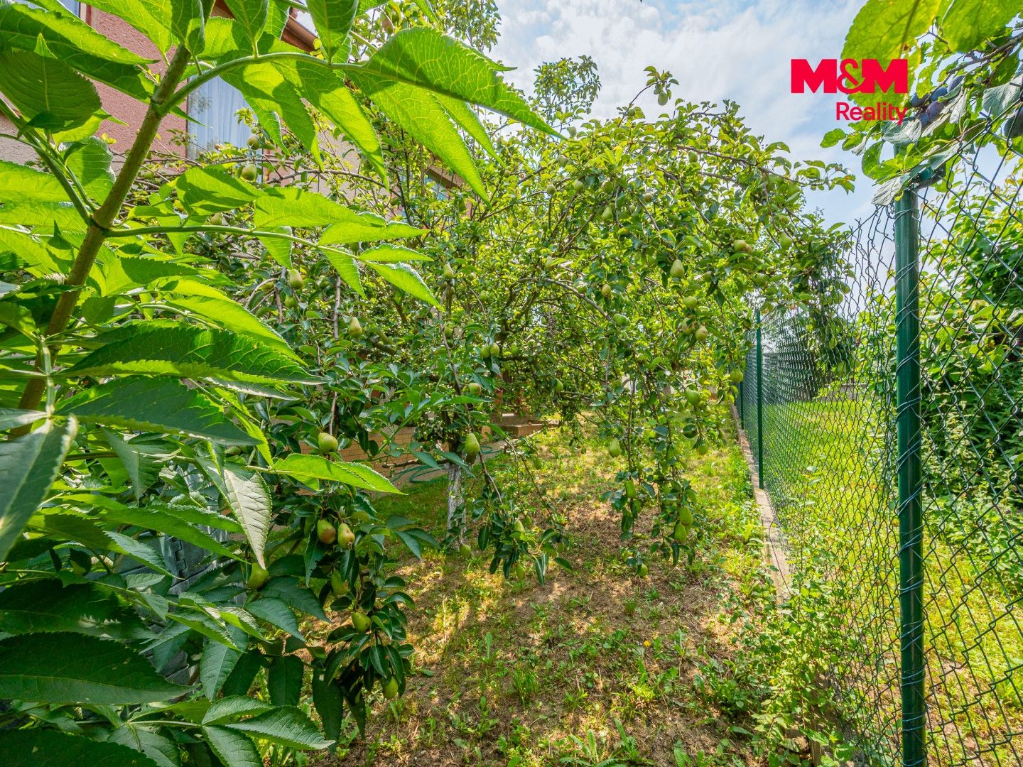 Prodej, Rodinný dům, 160 m², Kozojedy, Zahradní, Kozojedy – náhled fotky 21