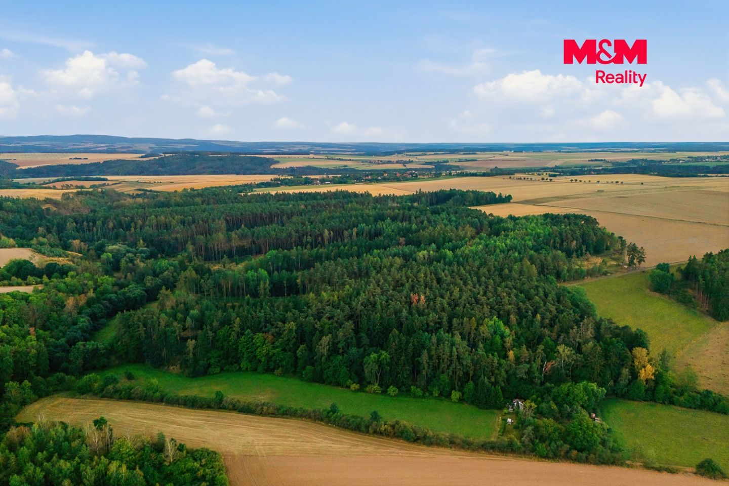 Prodej, Les, Břežany