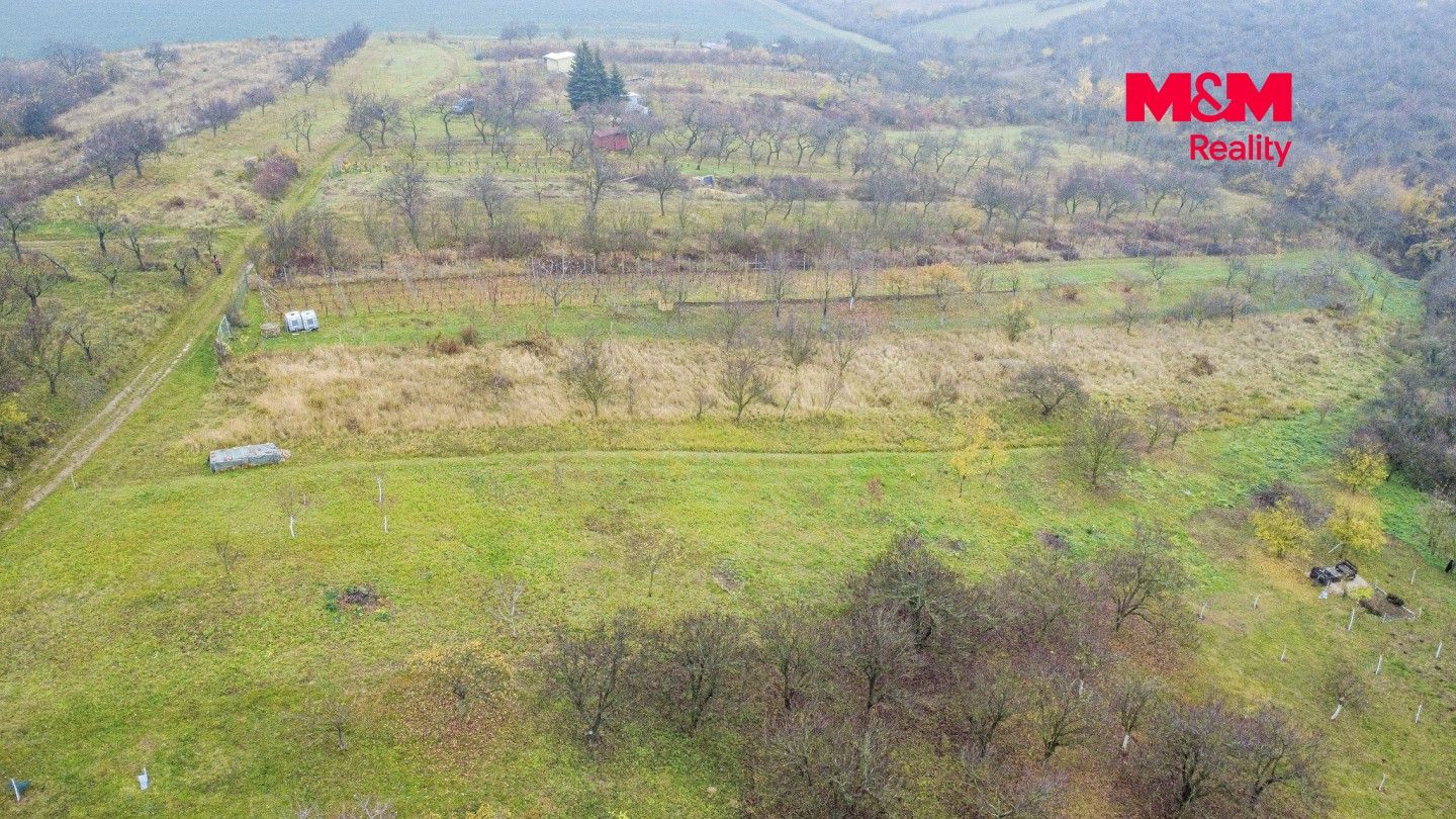 Prodej, Vinice, Bukovany