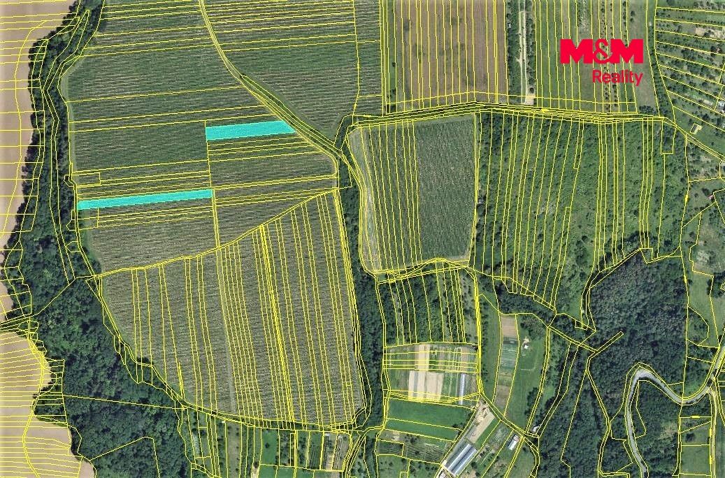 Prodej, Vinice, Hostějov