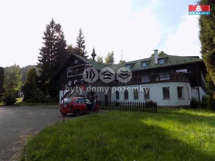 Prodej, Hotel, penzion, Borušov