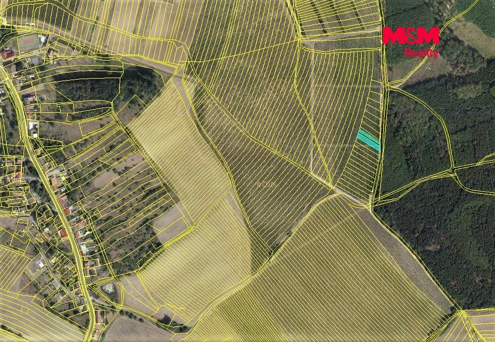 Prodej, Vinice, Nechvalín