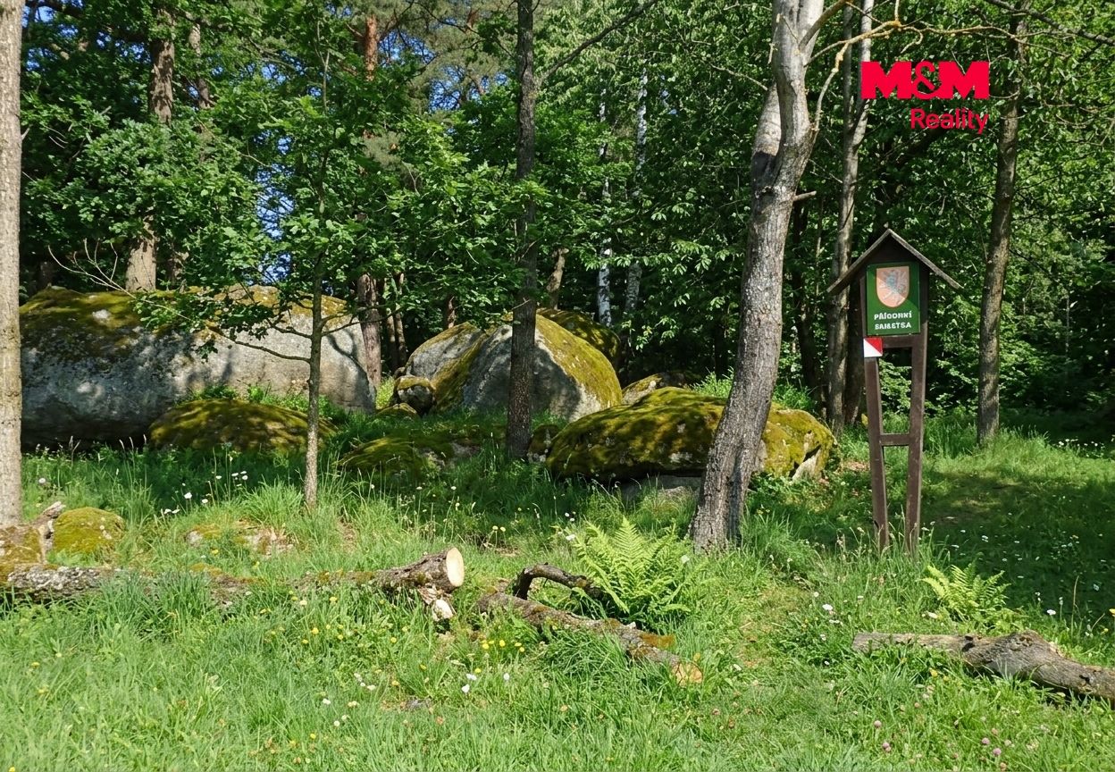 Prodej, Les, Petrovice