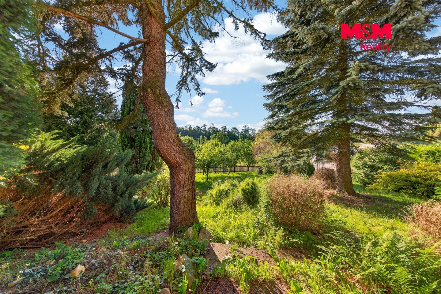Prodej, Rodinný dům, 184 m², Vlastějovice, Vlastějovice – náhled fotky 15