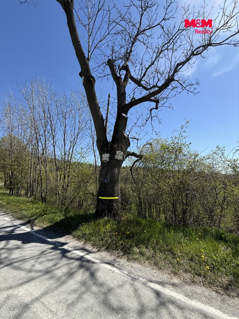 Prodej, Rodinný dům, 220 m², Město Albrechtice, Osoblažská, Město Albrechtice – náhled fotky 33