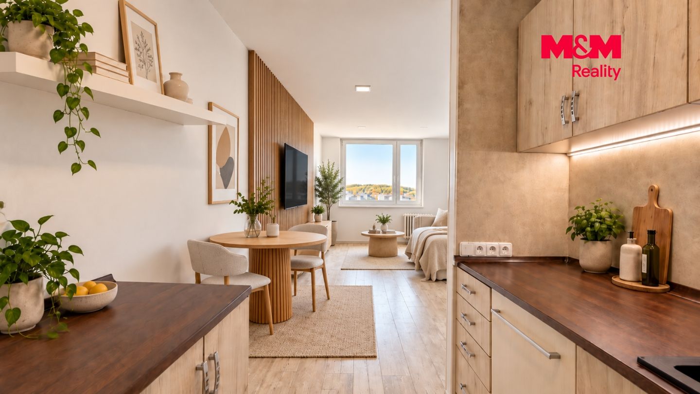 Prodej, Byt 2+kk, 42 m², Mladá Boleslav, Jana Palacha, Mladá Boleslav – náhled fotky 8