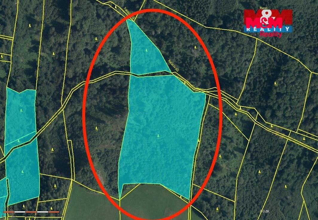 Prodej, Les, Horní Studénky